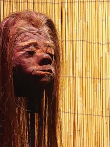 Shrunken head facing right